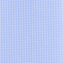 Blue/White