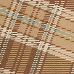 Braun multi