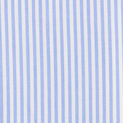 Blue/White