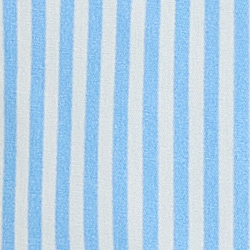 Blue Stripe