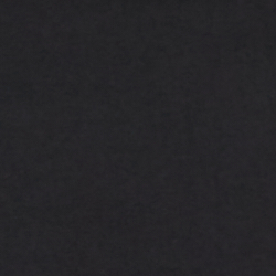 Polo Black Polo Tee