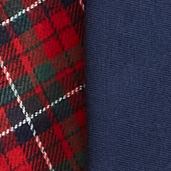Navy/Red Multi Plaid