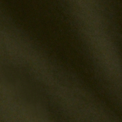 Kompanie-Oliv