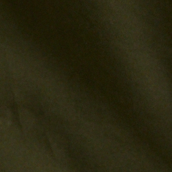 Company Olive