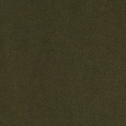 Company Olive