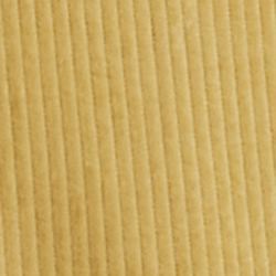 Coastal Beige