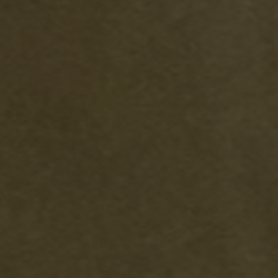 Dark Loden