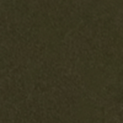 Dark Loden