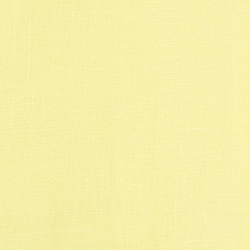 Summer Yellow