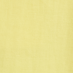 Summer Yellow