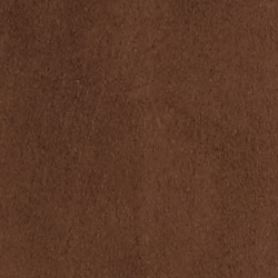 Dark Beech