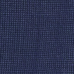 Strahlendes Navy