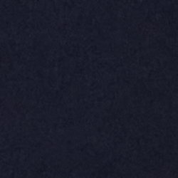 Cruise Navy