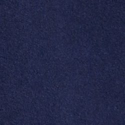 Cruise Navy
