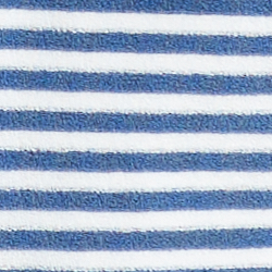 Delta Blue Stripe