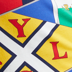 Burgee Flag Print
