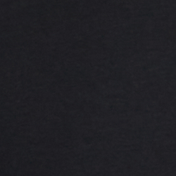 Polo Black Logo