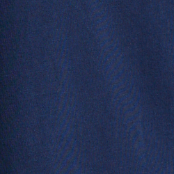 Cruise Navy Logo