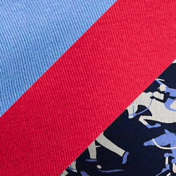 Print Red Blue
