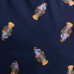 Cruise Navy Bear