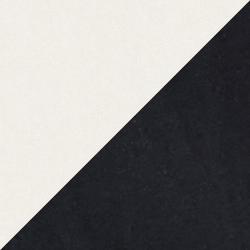 White/Polo Black
