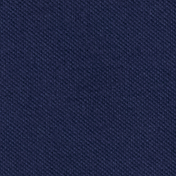 Cruise Navy