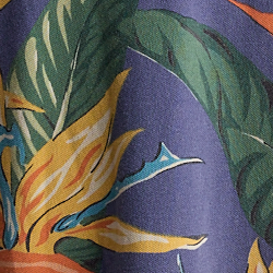 Multi
