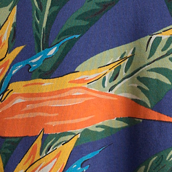Multi