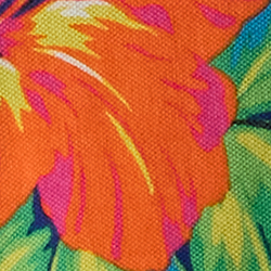 Multi