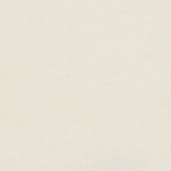 Warm White