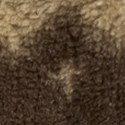 Braun multi