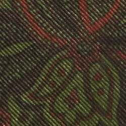 Braun multi