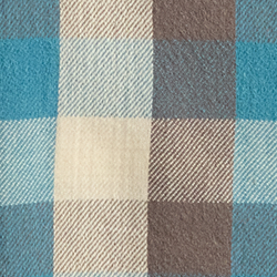 Blue/White