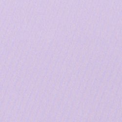 Lovely Lilac