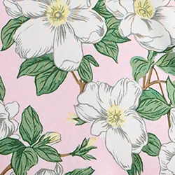 Georgia Rose Garden Pink
