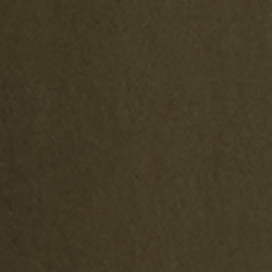 Ranger Green