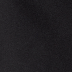 Polo Black