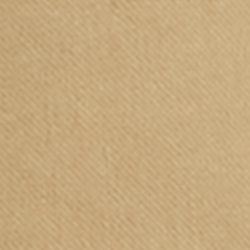 Classic Khaki
