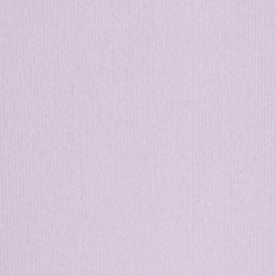 Lovely Lilac