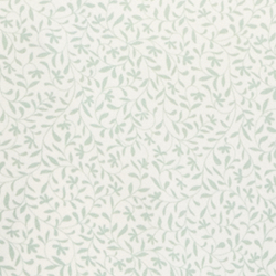 Lima Bean Botanic Deco