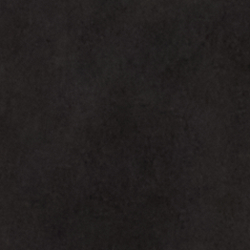 Polo Black