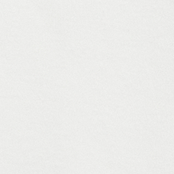 Classic White