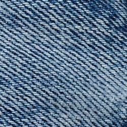 Coastal Indigo