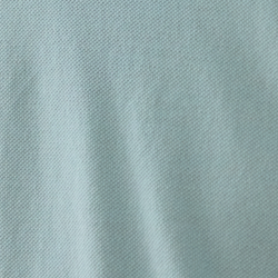 Corydalis Blue