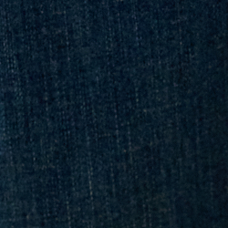 Küsten-Indigo