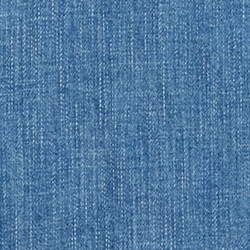 Küsten-Indigo