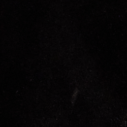 ポロ ブラック