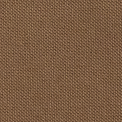 Soft Mocha