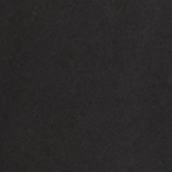 Polo Black