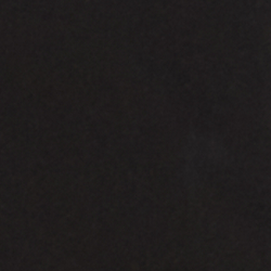 Polo Black